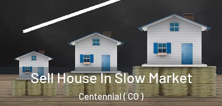 Sell House In Slow Market Centennial ( CO )