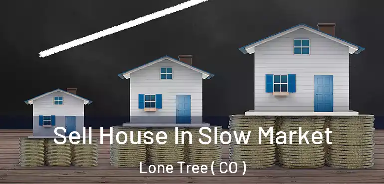 Sell House In Slow Market Lone Tree ( CO )