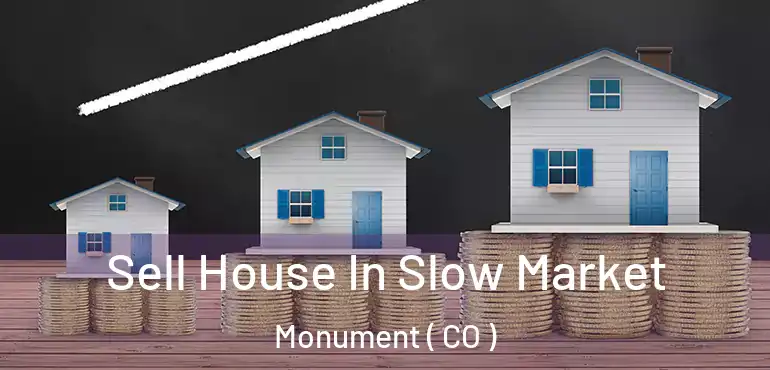 Sell House In Slow Market Monument ( CO )