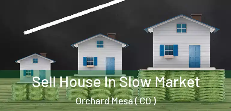 Sell House In Slow Market Orchard Mesa ( CO )