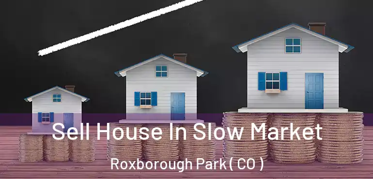 Sell House In Slow Market Roxborough Park ( CO )