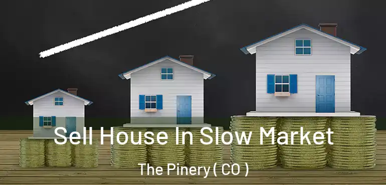 Sell House In Slow Market The Pinery ( CO )
