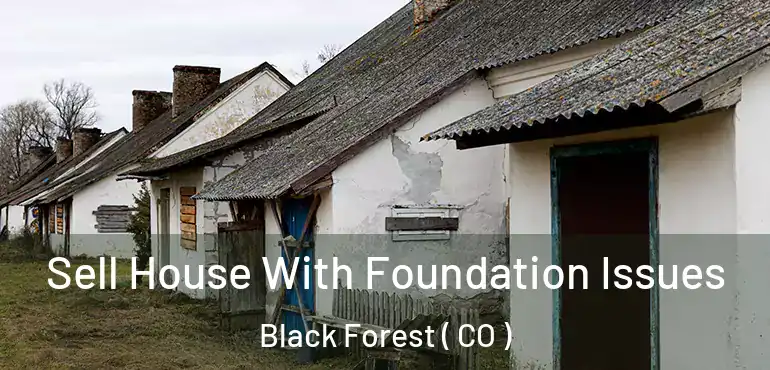Sell House With Foundation Issues Black Forest ( CO )