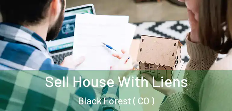 Sell House With Liens Black Forest ( CO )