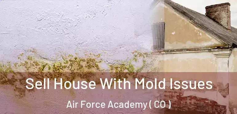 Sell House With Mold Issues Air Force Academy ( CO )