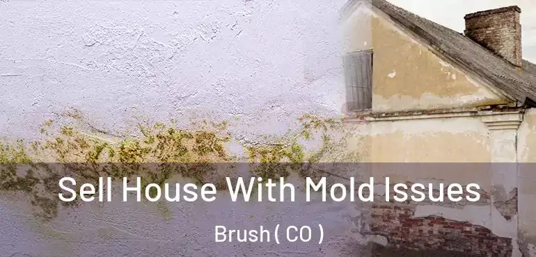 Sell House With Mold Issues Brush ( CO )