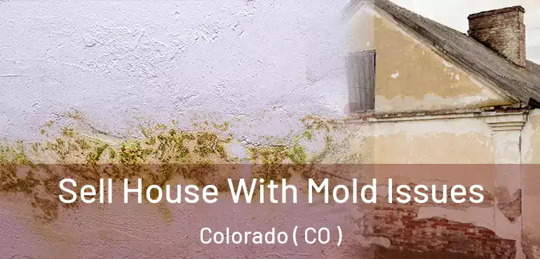 Sell House With Mold Issues Colorado ( CO )