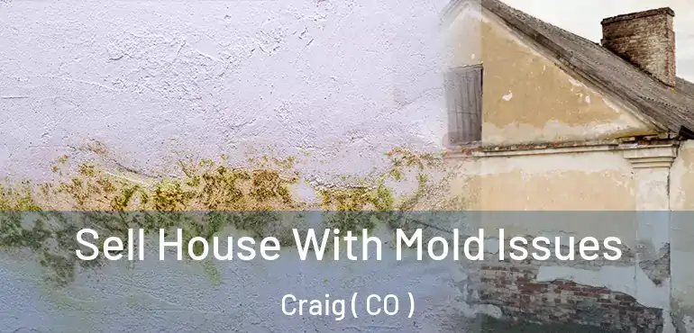 Sell House With Mold Issues Craig ( CO )