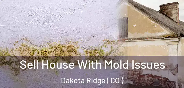  Sell House With Mold Issues Dakota Ridge ( CO )