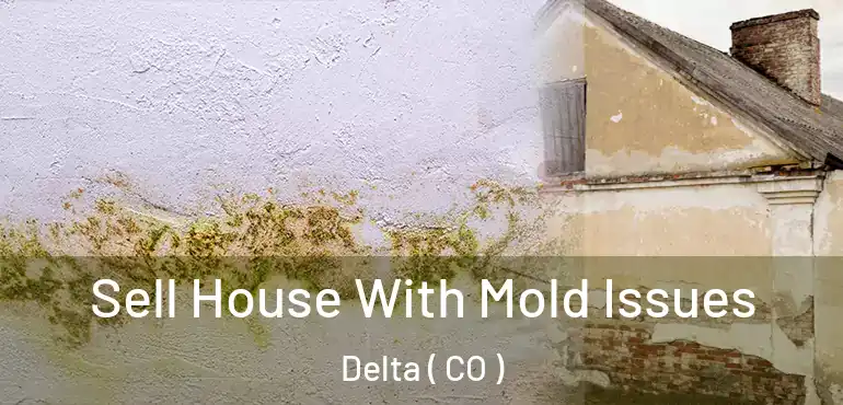 Sell House With Mold Issues Delta ( CO )