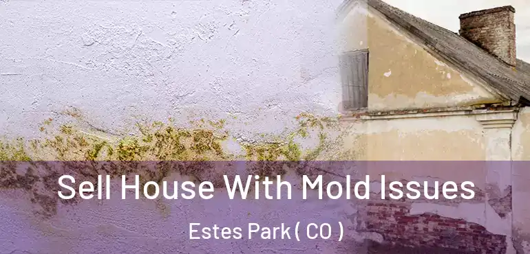 Sell House With Mold Issues Estes Park ( CO )