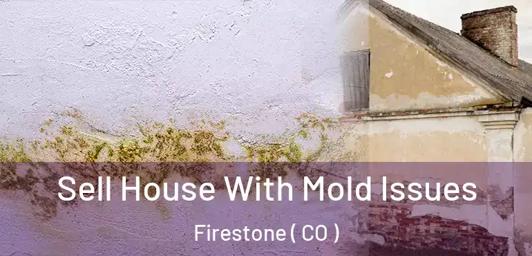 Sell House With Mold Issues Firestone ( CO )