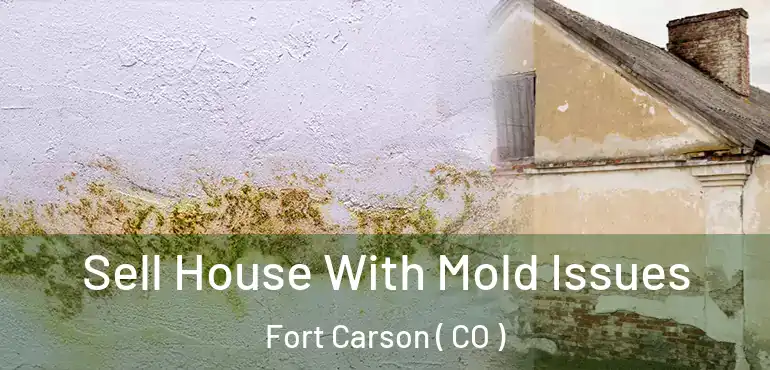 Sell House With Mold Issues Fort Carson ( CO )