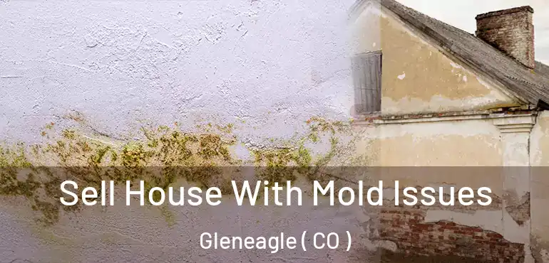 Sell House With Mold Issues Gleneagle ( CO )