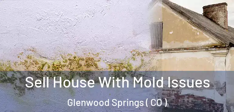Sell House With Mold Issues Glenwood Springs ( CO )