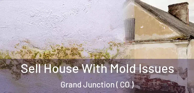Sell House With Mold Issues Grand Junction ( CO )