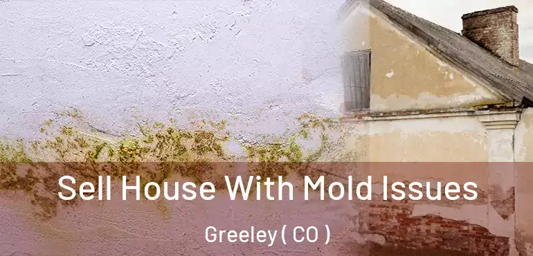 Sell House With Mold Issues Greeley ( CO )