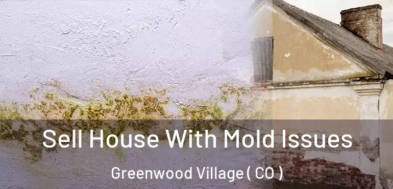 Sell House With Mold Issues Greenwood Village ( CO )