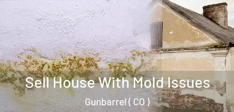 Sell House With Mold Issues Gunbarrel ( CO )