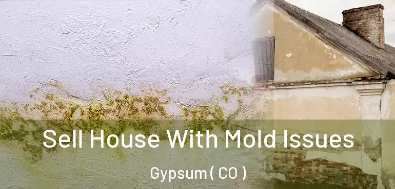 Sell House With Mold Issues Gypsum ( CO )