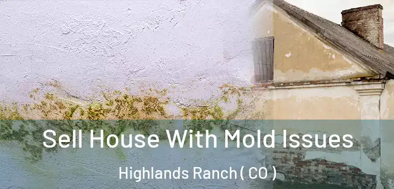 Sell House With Mold Issues Highlands Ranch ( CO )