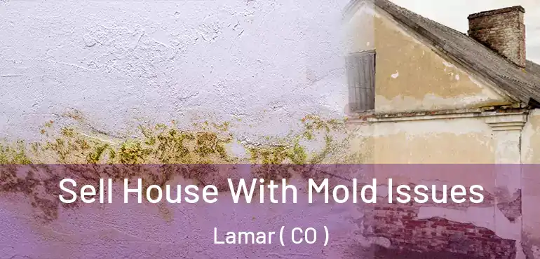Sell House With Mold Issues Lamar ( CO )
