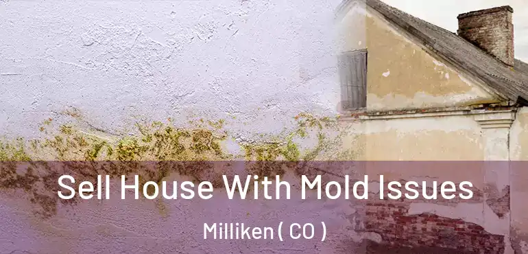 Sell House With Mold Issues Milliken ( CO )
