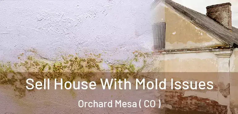 Sell House With Mold Issues Orchard Mesa ( CO )