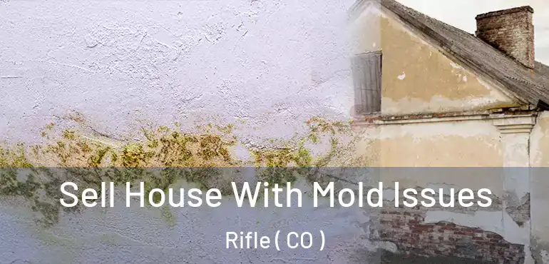 Sell House With Mold Issues Rifle ( CO )