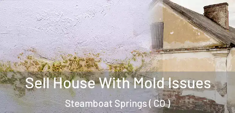 Sell House With Mold Issues Steamboat Springs ( CO )