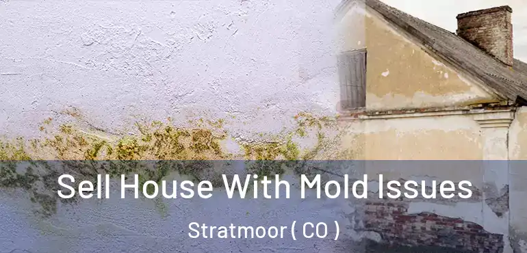 Sell House With Mold Issues Stratmoor ( CO )