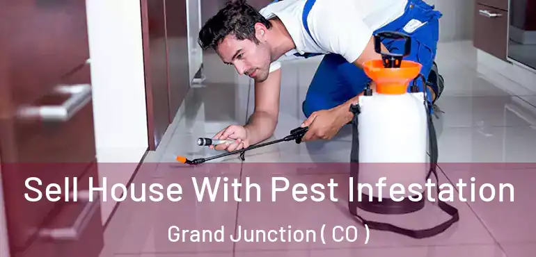 Sell House With Pest Infestation Grand Junction ( CO )