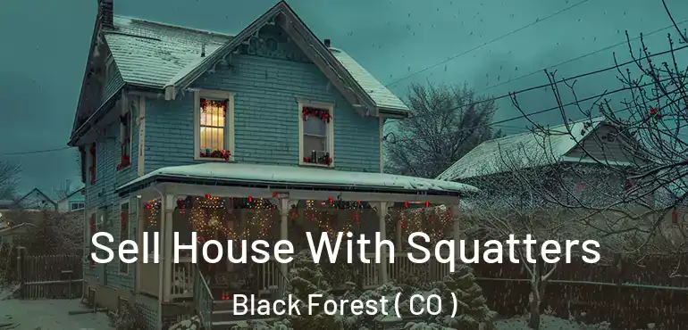 Sell House With Squatters Black Forest ( CO )