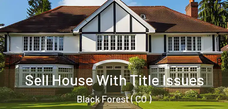 Sell House With Title Issues Black Forest ( CO )