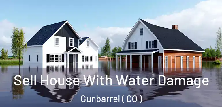Sell House With Water Damage Gunbarrel ( CO )