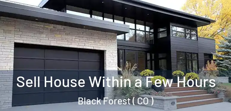 Sell House Within a Few Hours Black Forest ( CO )