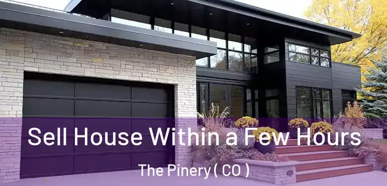 Sell House Within a Few Hours The Pinery ( CO )