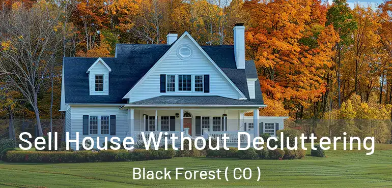 Sell House Without Decluttering Black Forest ( CO )