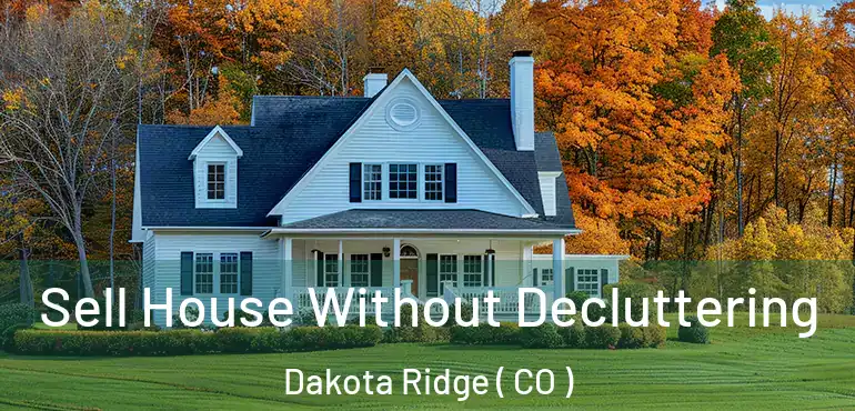 Sell House Without Decluttering Dakota Ridge ( CO )