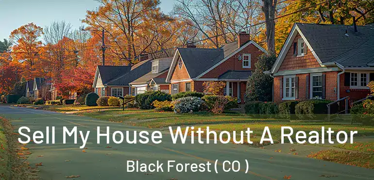 Sell My House Without A Realtor Black Forest ( CO )