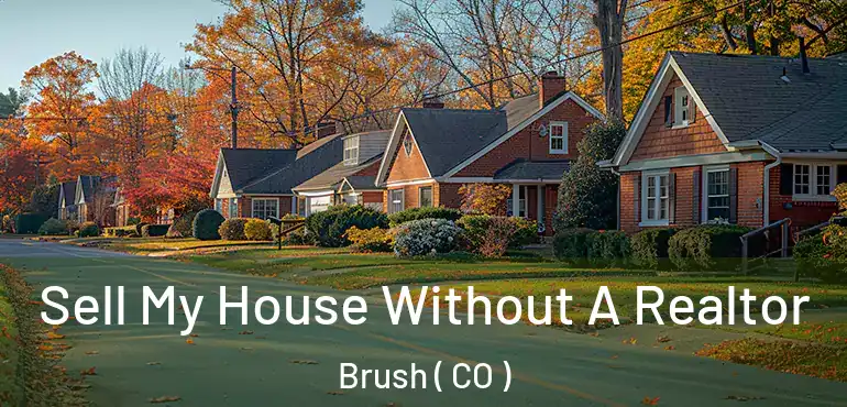  Sell My House Without A Realtor Brush ( CO )