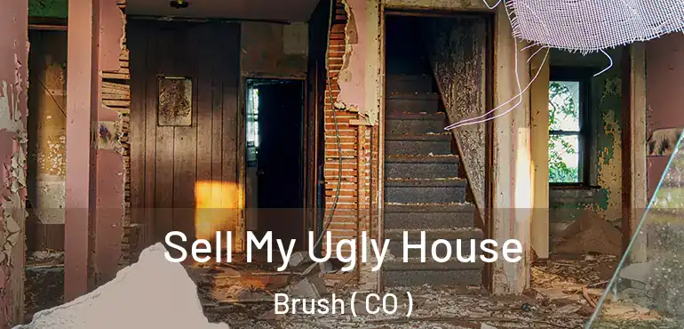 Sell My Ugly House Brush ( CO )