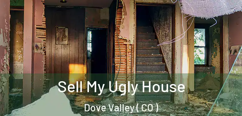 Sell My Ugly House Dove Valley ( CO )