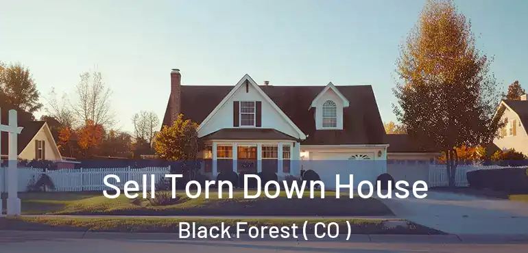  Sell Torn Down House Black Forest ( CO )