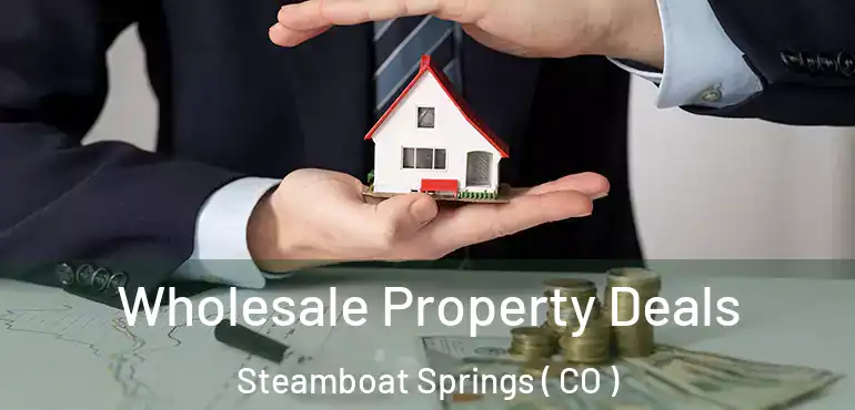 Wholesale Property Deals Steamboat Springs ( CO )