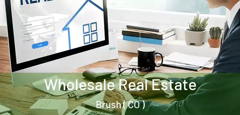 Wholesale Real Estate Brush ( CO )